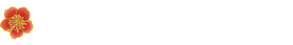 Q&A